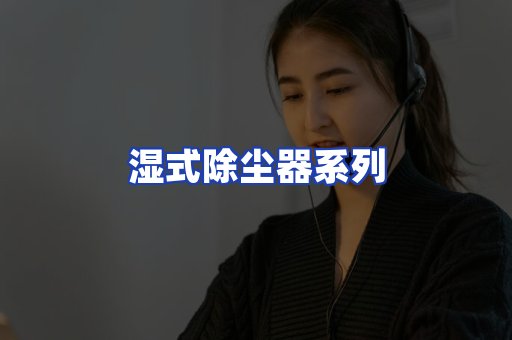 湿式除尘器系列